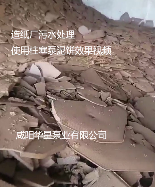 造紙廠污水處理使用柱塞泵泥餅效果視頻 造紙廠污水處理使用柱塞泵泥餅效果視頻